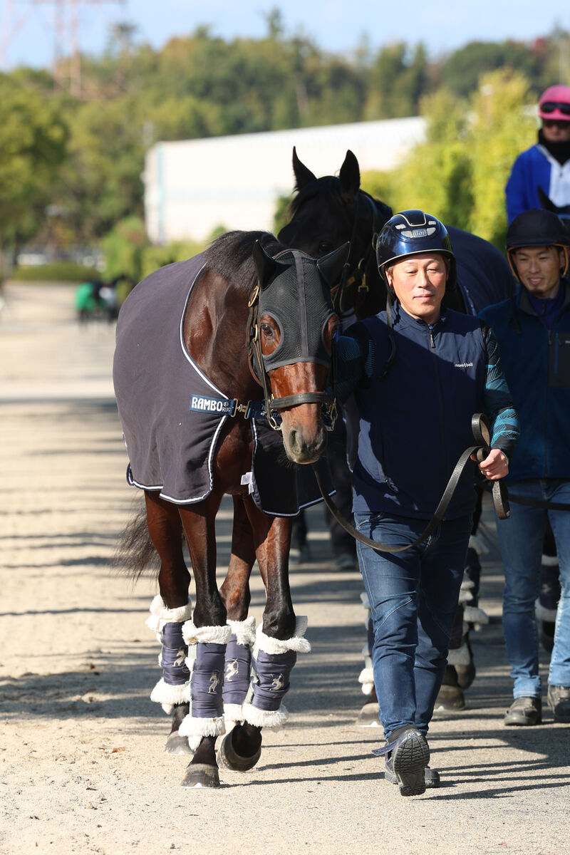 【ジャパンＣ】京都大賞典１１着から巻き返し期すブローザホーン　吉岡調教師「前走の前と雰囲気は全然違う」