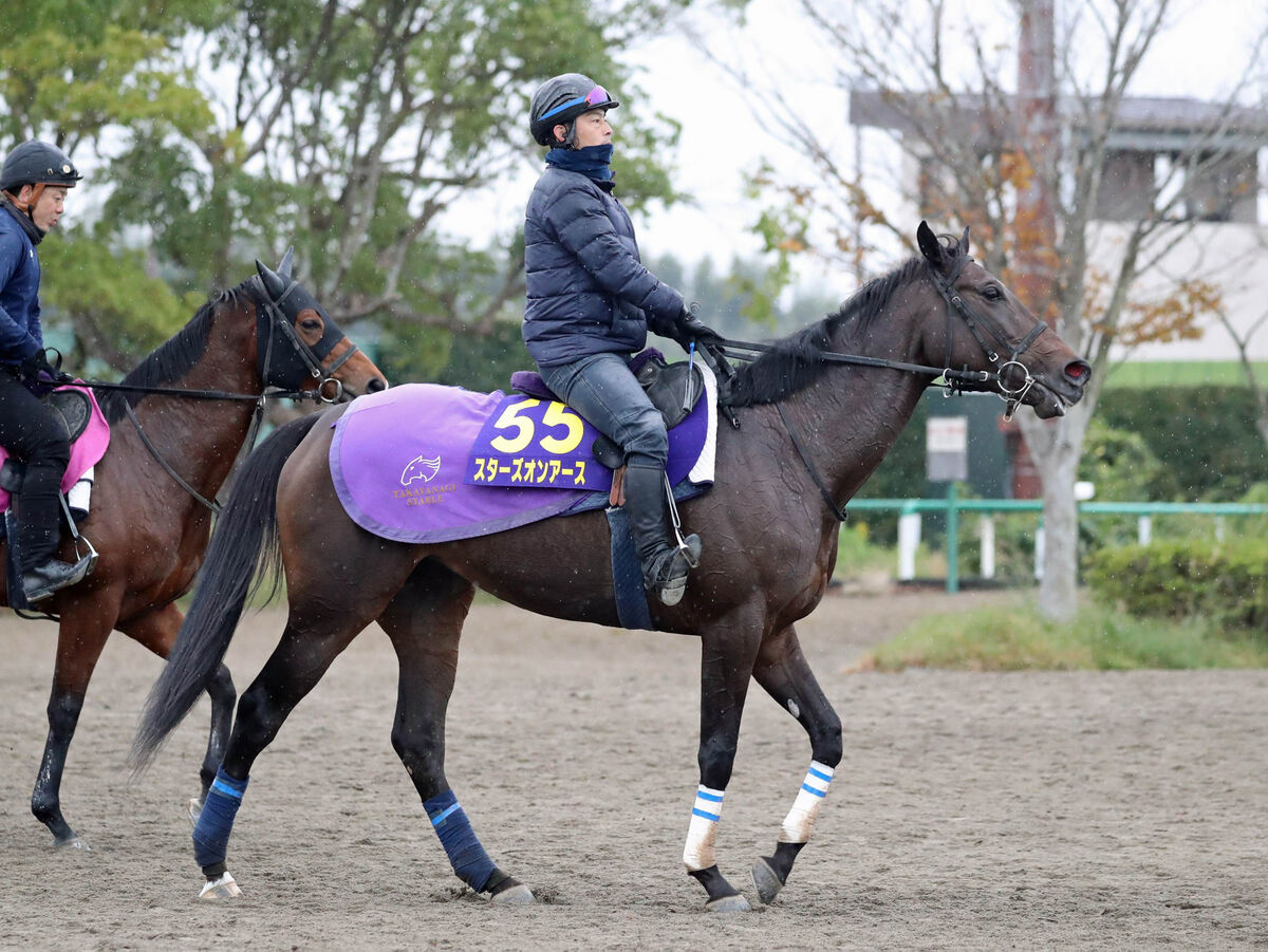 【ジャパンＣ】日本勢のプライドを死守するのは、平均ペースに強い昨年３、４着馬