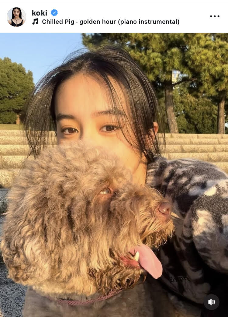 Ｋｏｋｉ，　愛犬とのさわやかな日常「気持ちが良い日でしたね」