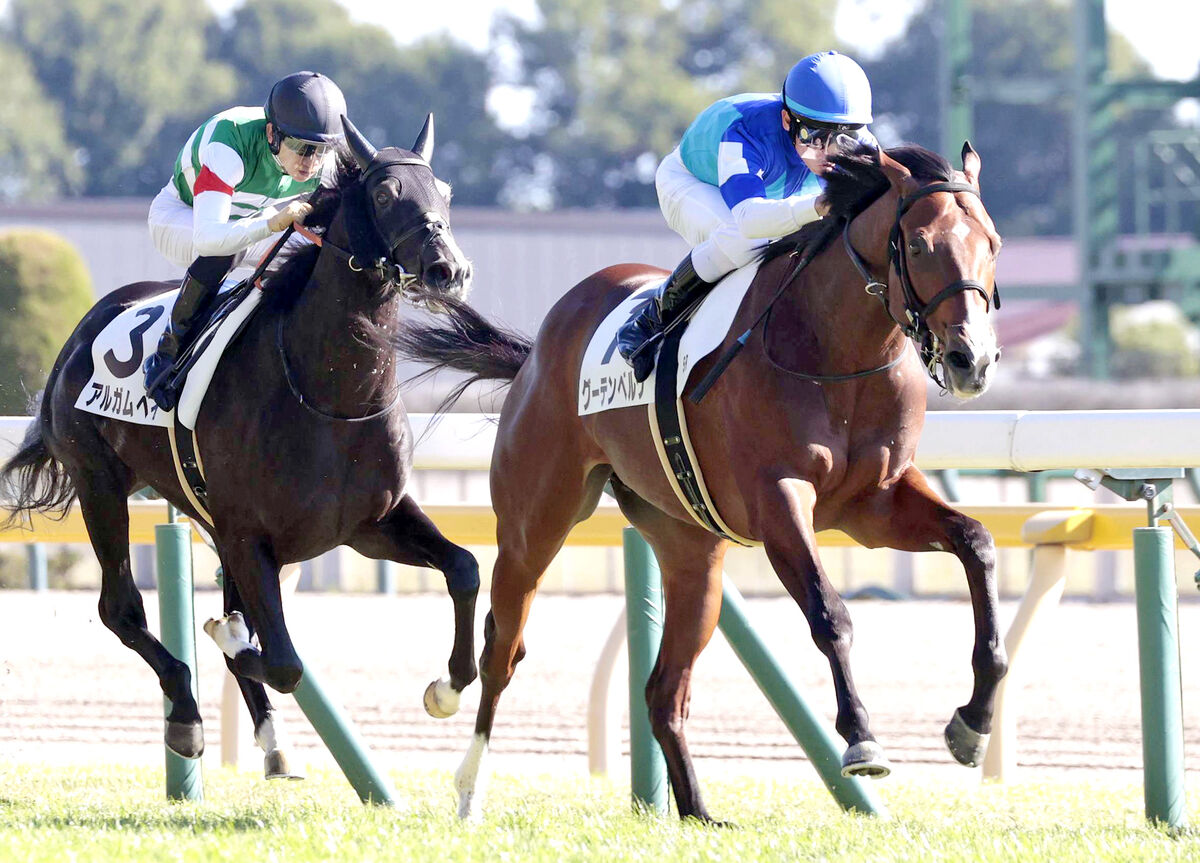 【東京５Ｒ・２歳新馬】グーテンベルクが２番手抜け出しＶ　戸崎圭太騎手「背中の良さとポテンシャルで勝てた」