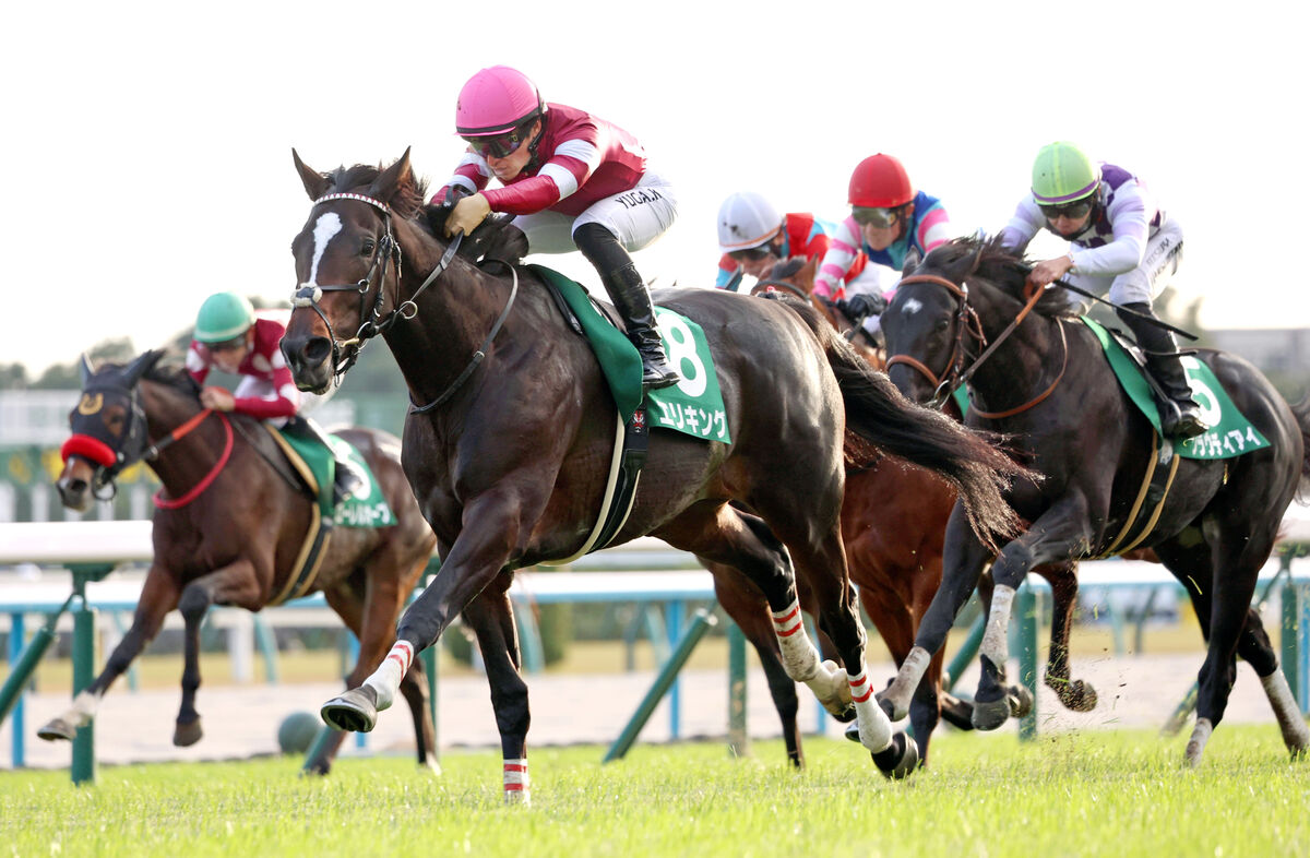 【京都２歳Ｓ】エリキング無傷３連勝で重賞初制覇　川田将雅騎手は「無事に、来年まで」素質評価