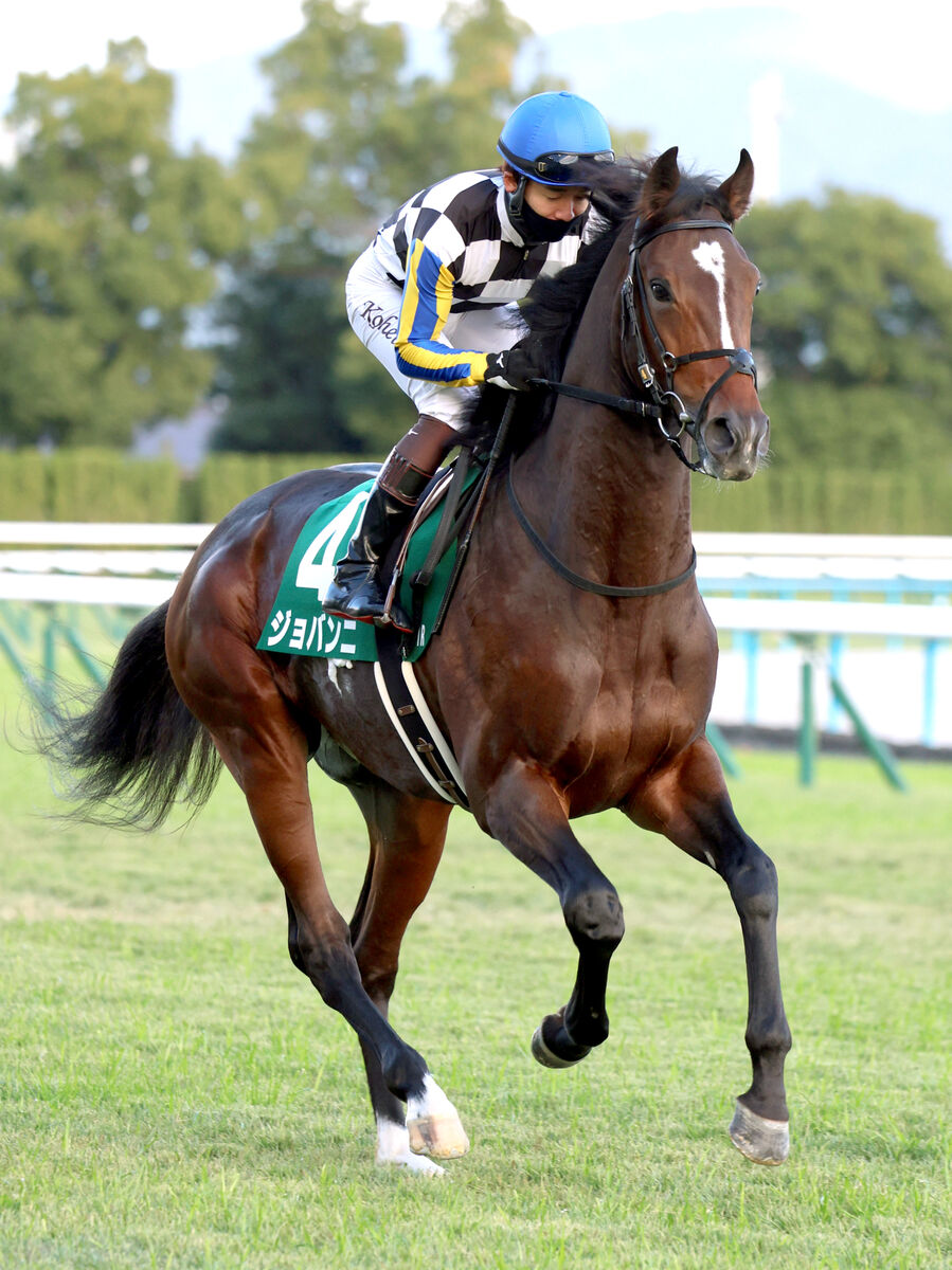 【京都２歳Ｓ】スタート後手も追い込んだジョバンニ２着　松山弘平騎手は「力は見せてくれました」