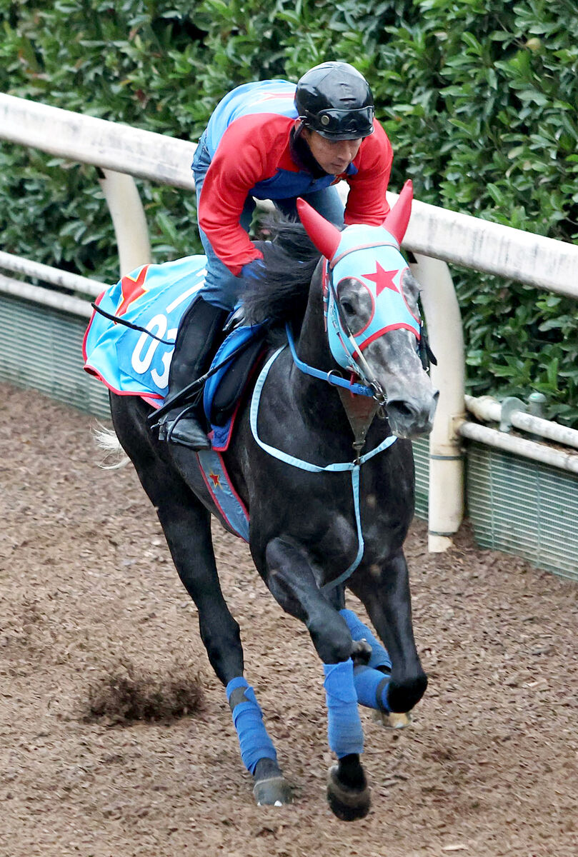 【京阪杯】ＪＣ後の短距離決戦　１番人気は６・０倍　上位人気４頭が７・０倍の間にひしめく大混戦　前日最終オッズ