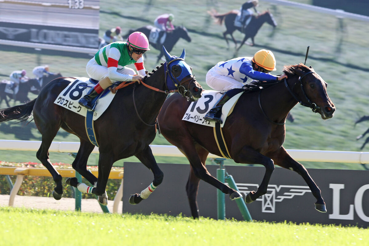 ジャパンＣ開催の東京競馬が５Ｒまでネット騒然の結果「外国人騎手しか勝たん」「全部あるんちゃうか」