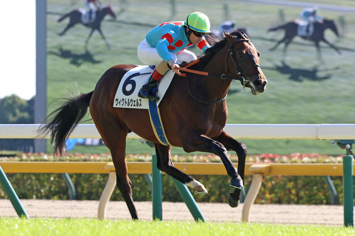 東京競馬場ジャパンＣ当日の芝コースは真ん中から外が有利な馬場　ルメール騎手「内はボコボコ」