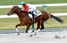 【京都４Ｒ・２歳新馬】 セボンサデッセが３馬身半差の完勝　幸英明騎手「調教から雰囲気が良かった」