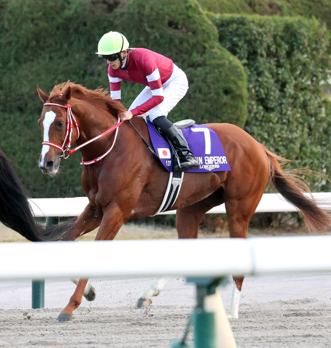 【ジャパンＣ】３歳シンエンペラーが内から伸びて２着同着　首差惜敗に坂井瑠星騎手「着差が着差だけに残念」