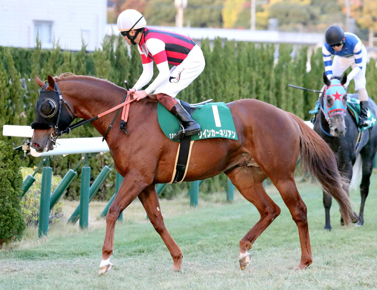 【京阪杯】ウインカーネリアン逃げ切れず首差２着　三浦皇成騎手「突き放せるかなと思いましたが…」