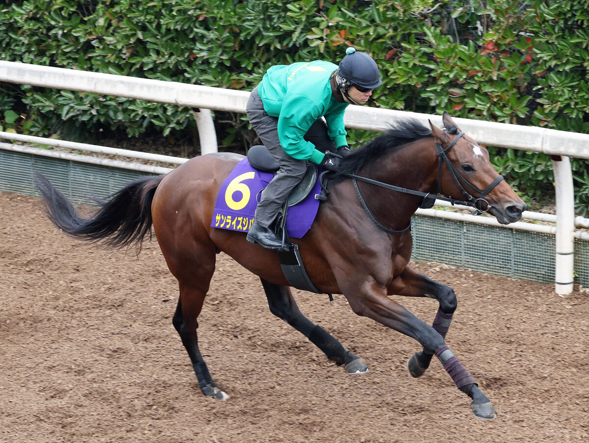 【チャンピオンズＣ・山本理貴の特注馬】サンライズジパングがＧ１でも年長馬撃破へ　３歳フォーエバーヤング世代