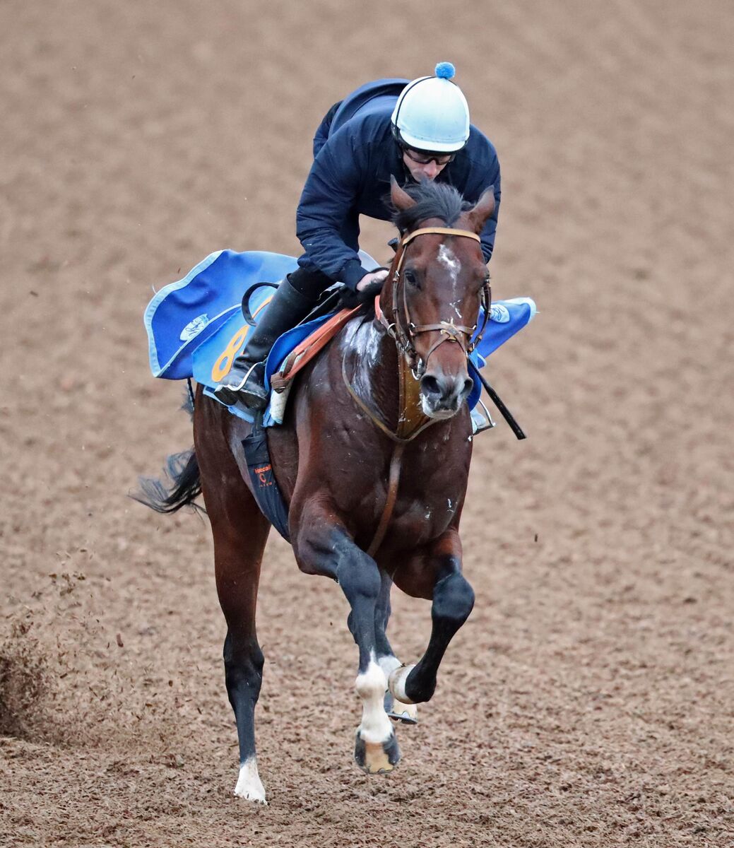 【チャレンジＣ・角田の特注馬】素質はＧ１級！　３歳ダノンエアズロックが重賞初制覇だ