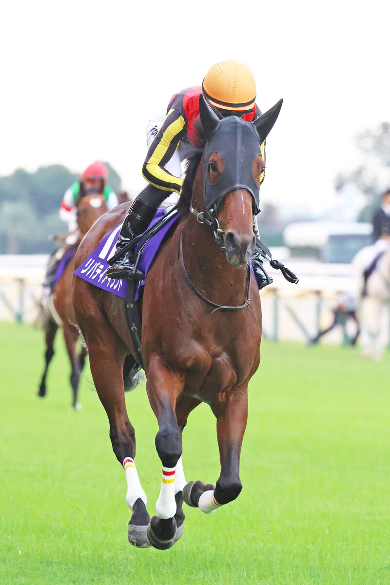 【注目馬動向】リバティアイランドが香港Ｃの国内最終追いで鋭い伸び　中内田調教師「動きは良かったです」