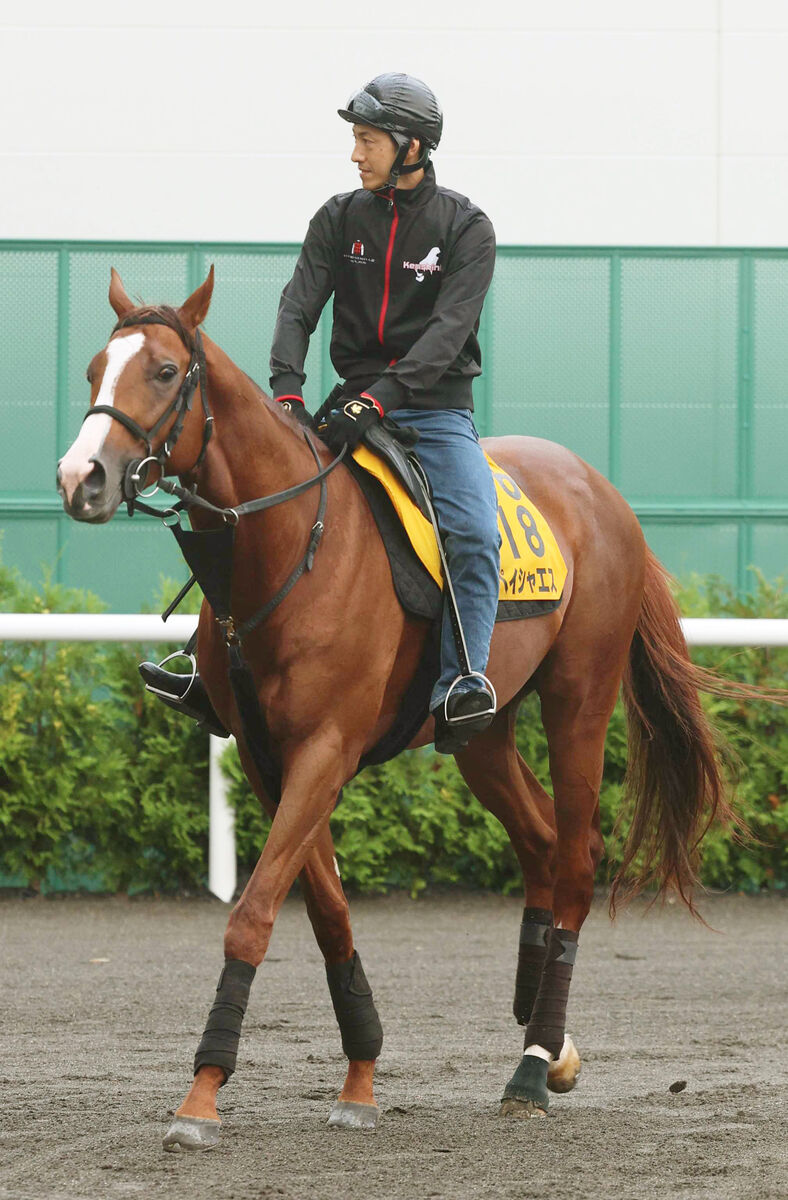 【チャンピオンズＣ】重賞３勝のペイシャエスが大物食いへ　小西調教師「ここを目標にやってきた」