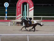 【チャンピオンズＣ】ミックファイアが大井競馬場で最終追い切り　渡辺和調教師「いい感じで上がってきている」