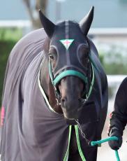 【注目馬動向】ジャスティンパレスは有馬記念も視野　正式決定すれば３年連続の参戦