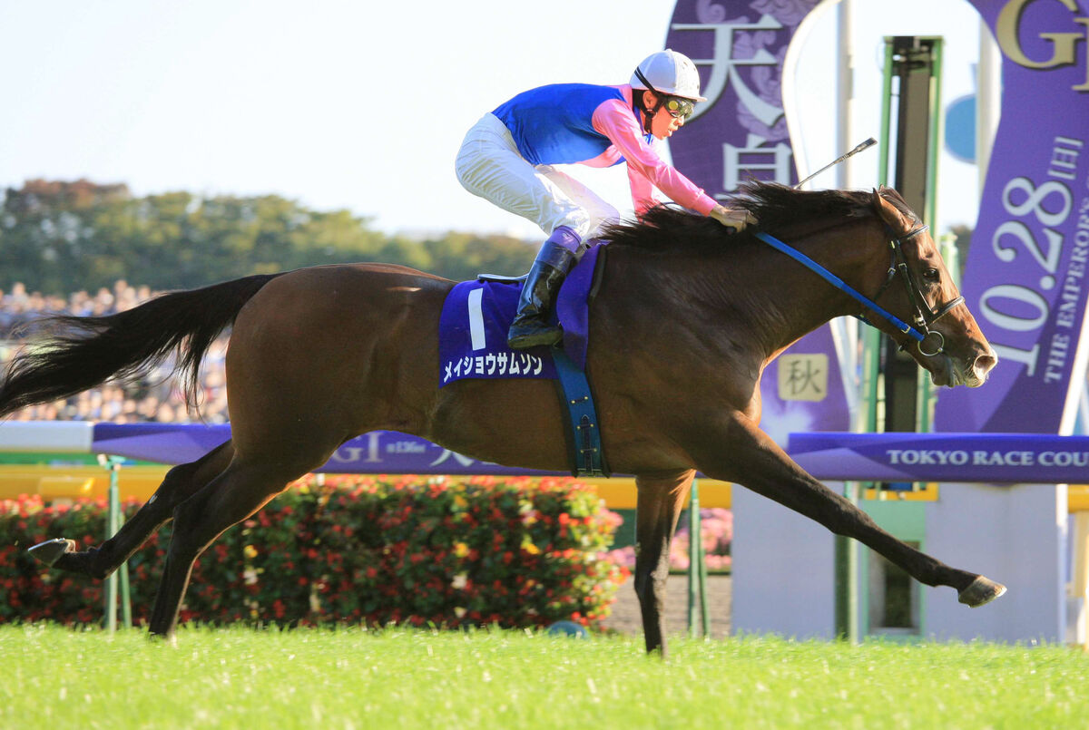 クラシック２冠馬でＧ１・４勝のメイショウサムソン２１歳で死す　松本好雄オーナー「夢をかなえてくれました」