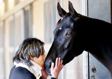 【チャンピオンズＣ】菱田裕二騎手、昨年の悔しい思いは二度としたくない！唯一の牝馬で史上２頭目の偉業狙う