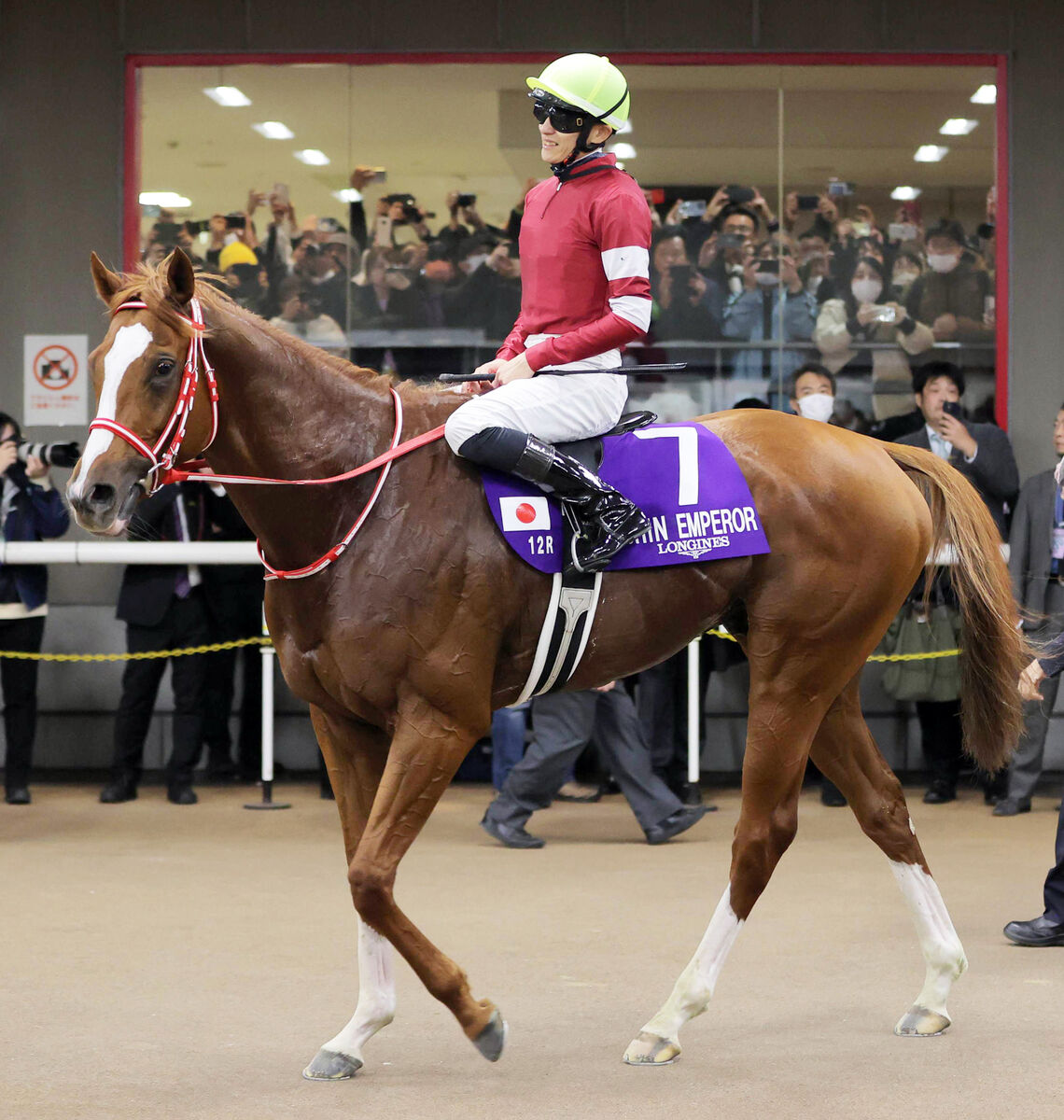 【注目馬動向】シンエンペラーは来春に中東遠征を予定　有馬記念への正式な出否はまだ未定