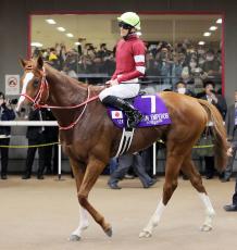 【注目馬動向】シンエンエンペラーは来春に中東遠征を予定　有馬記念への正式な出否はまだ未定