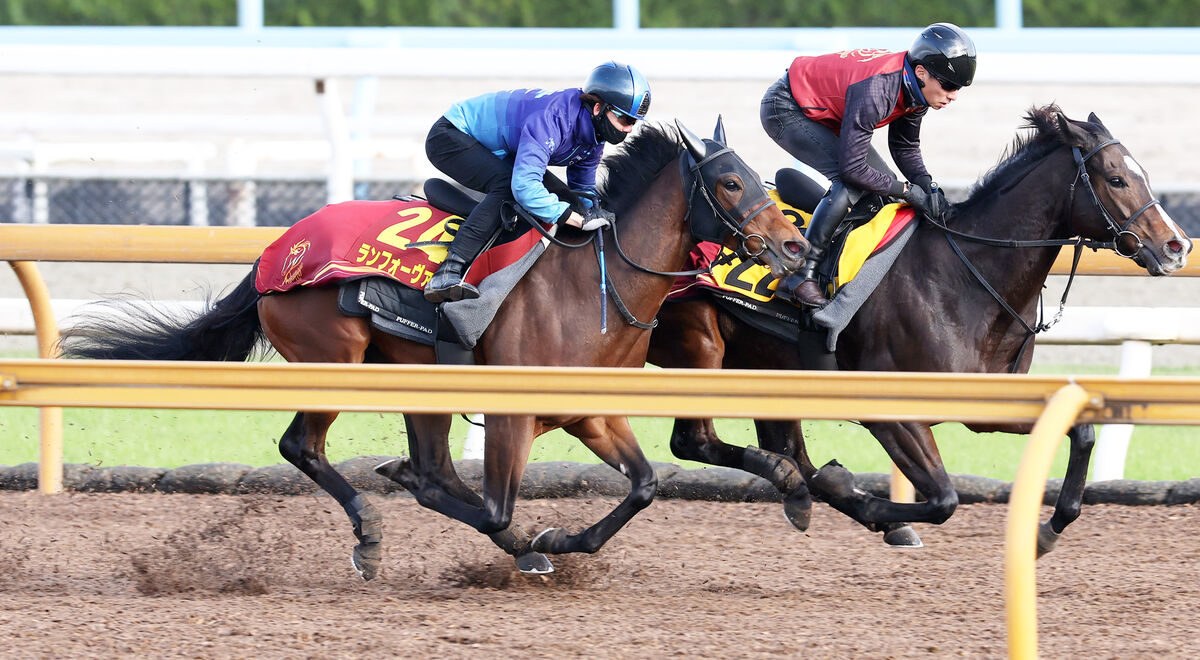 【阪神ＪＦ】福永厩舎Ｇ１初Ｖ狙うランフォーヴァウは好調キープ　「内容は１００点」の前走経験生かせるか