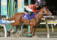 【船橋競馬・船橋記念（２７日）】エンテレケイア４馬身差圧勝で重賞３勝目