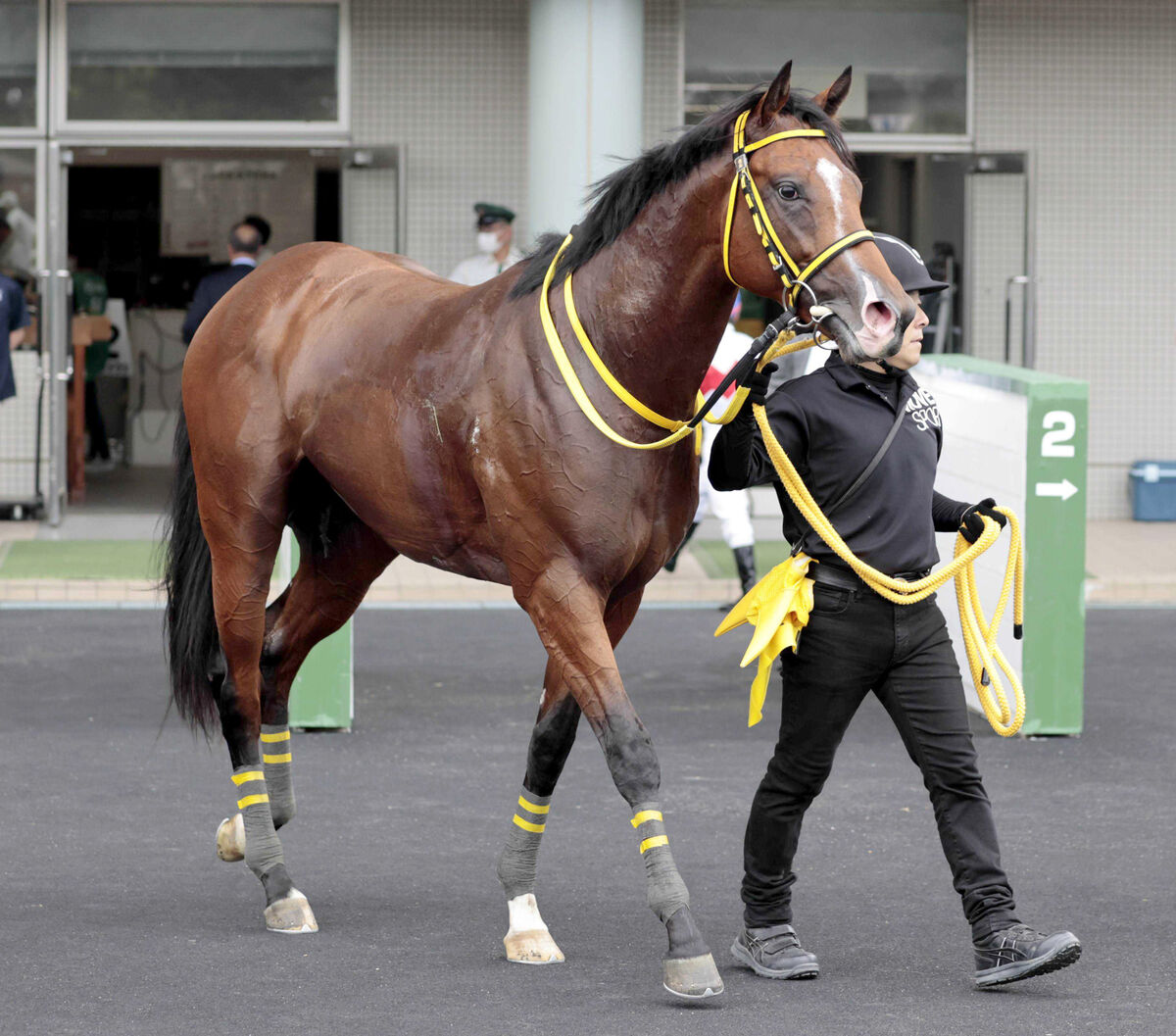 【注目馬動向】無敗の２勝馬ニタモノドウシはムーア騎手で朝日杯ＦＳへ　クローバー賞で快勝