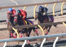 【阪神ＪＦ】カワキタマナレアは３頭併せで好気配　杉山佳調教師「メリハリがあっていい追い切り」