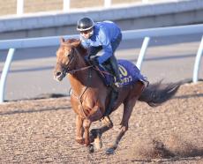 【チャンピオンズＣ】ラストランのレモンポップは連覇へ向け単走で力強い伸び　田中博康調教師「いいストライド」