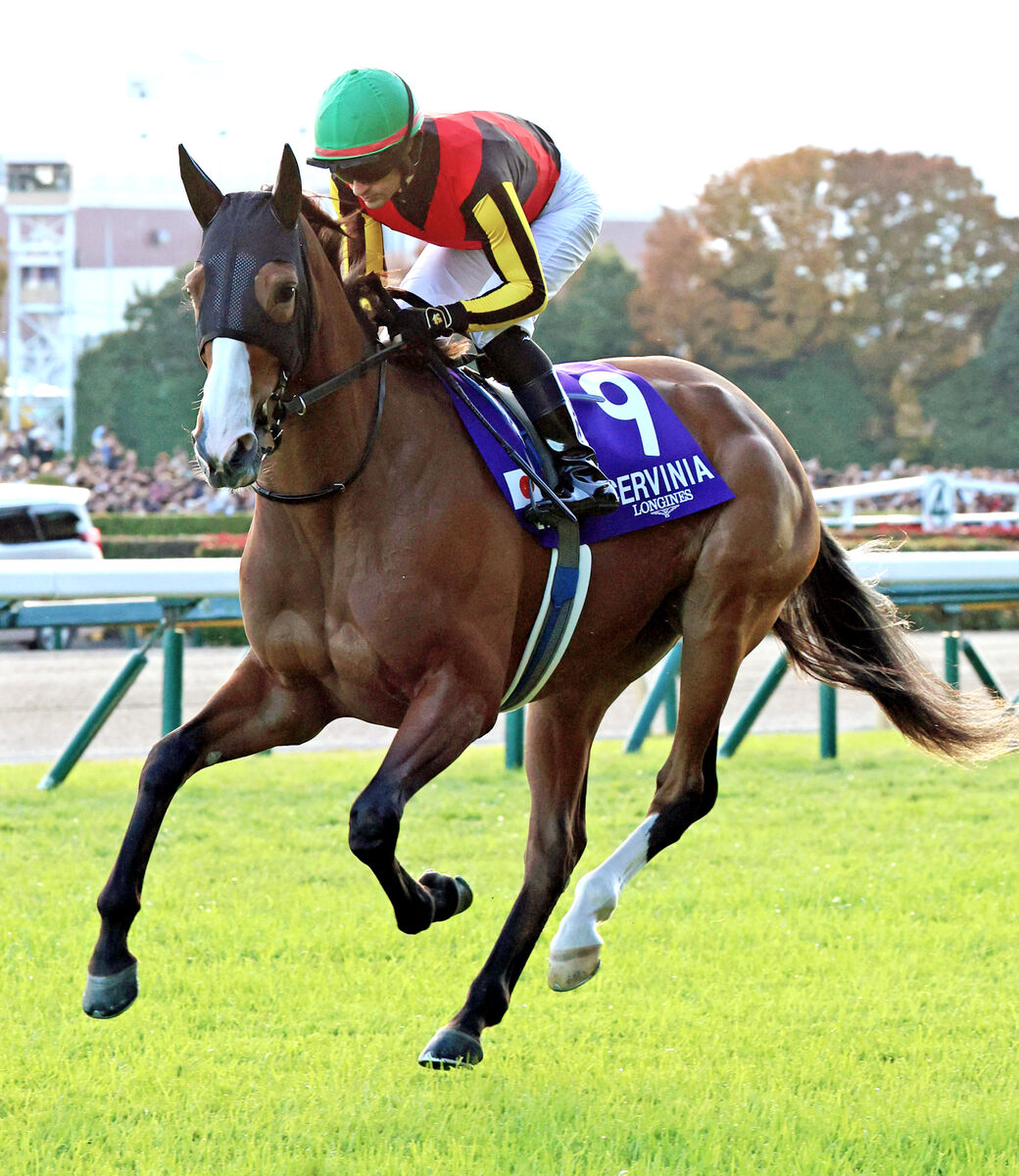 【注目馬動向】今年の２冠牝馬チェルヴィニアは有馬記念に出走せず