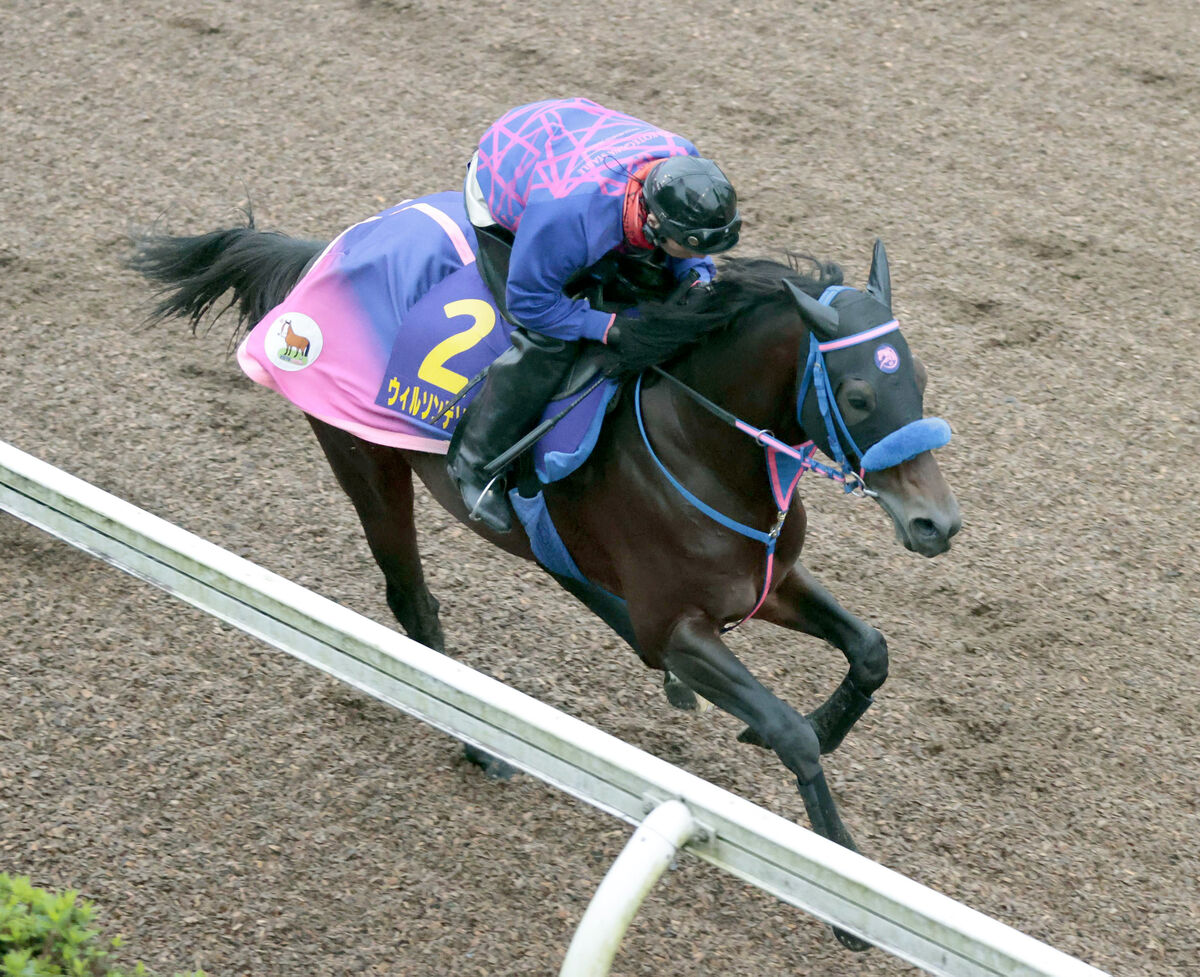 【チャンピオンズＣ】昨年２着のウィルソンテソーロは仕上がり完調　小手川調教師「ヒューマンパワーが大きい」