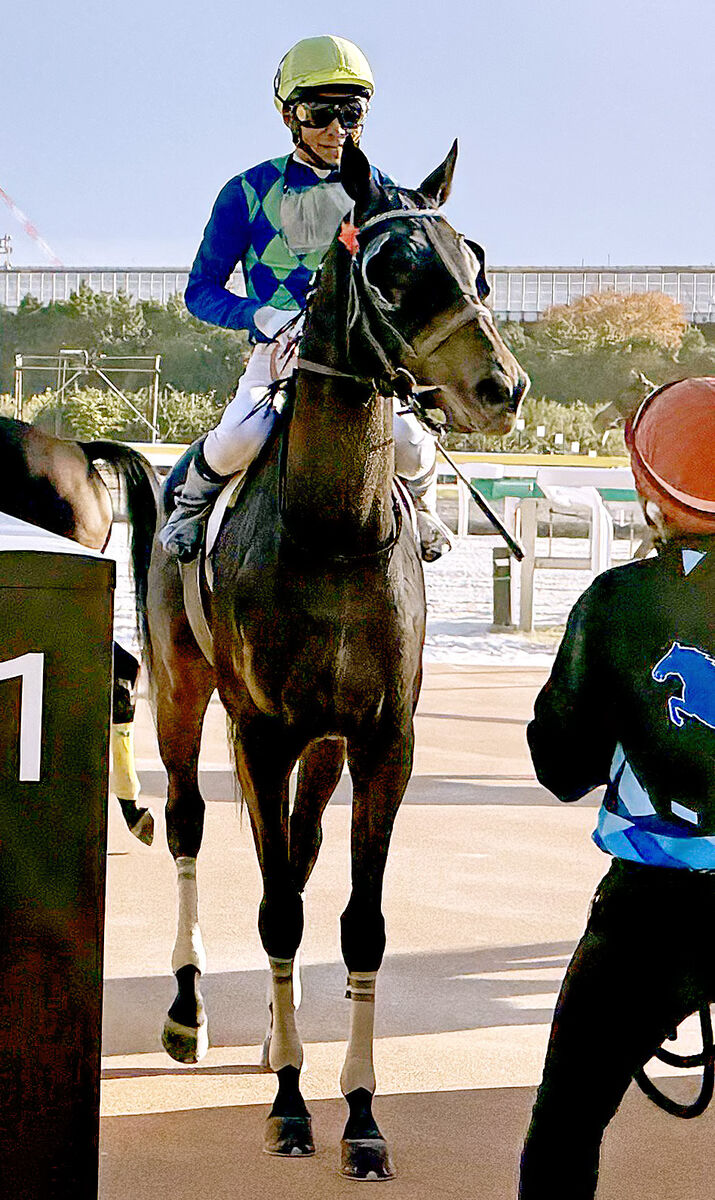 森泰斗騎手が現役最後の日の船橋１Ｒで勝利「毛づやもピカピカで、しっかりつくってくれたのを感じました」