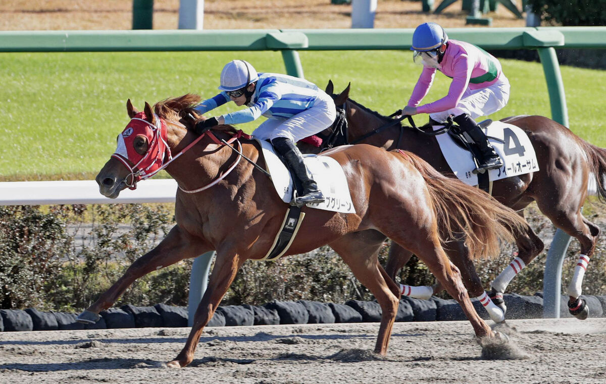 【中山６Ｒ・２歳新馬】坂井瑠星騎手騎乗のオリーブグリーンが１番人気に応えて快勝「いろいろ経験できて良かった」