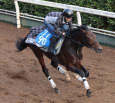 土曜京都競馬場の注目激走馬…京都１１Ｒチャレンジカップ・Ｇ３