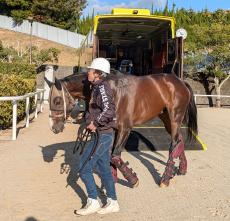 【チャンピオンズＣ】地方馬２頭目のＪＲＡ・Ｇ１制覇狙うミックファイアが中京入り　陣営「この１年はここ目標」