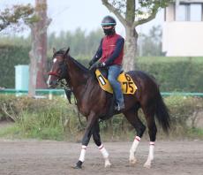 日曜中山競馬場の注目激走馬…中山１１Ｒラピスラズリステークス（Ｌ）