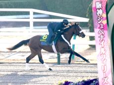 【阪神ＪＦ】米国馬メイデイレディが京都競馬場で最終追い切り　リー調教師「とてもうまく調整できた」