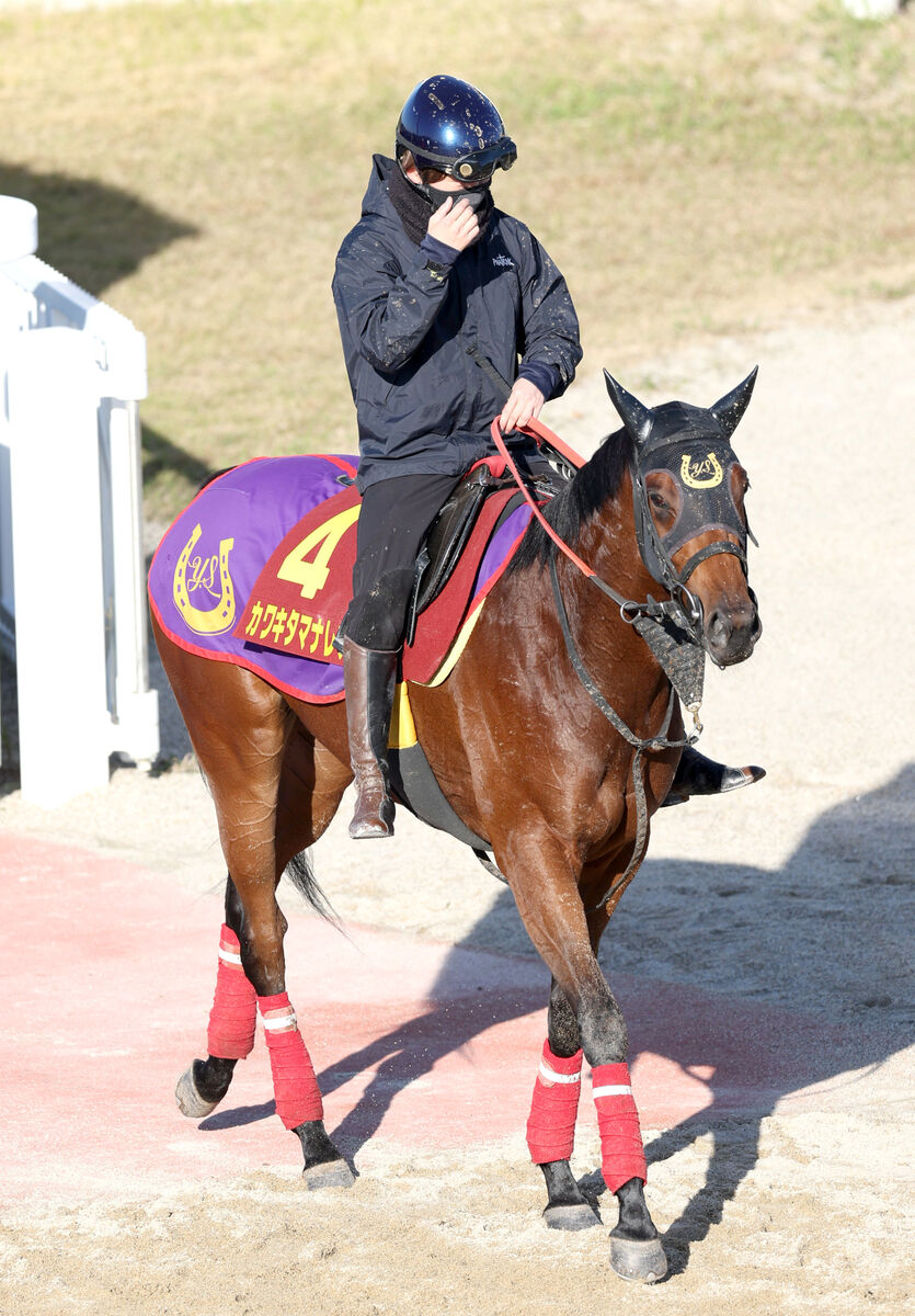 【阪神ＪＦ・山本理貴の特注馬】カワキタマナレアの馬場状態問わない末脚は魅力　展開向けば一発