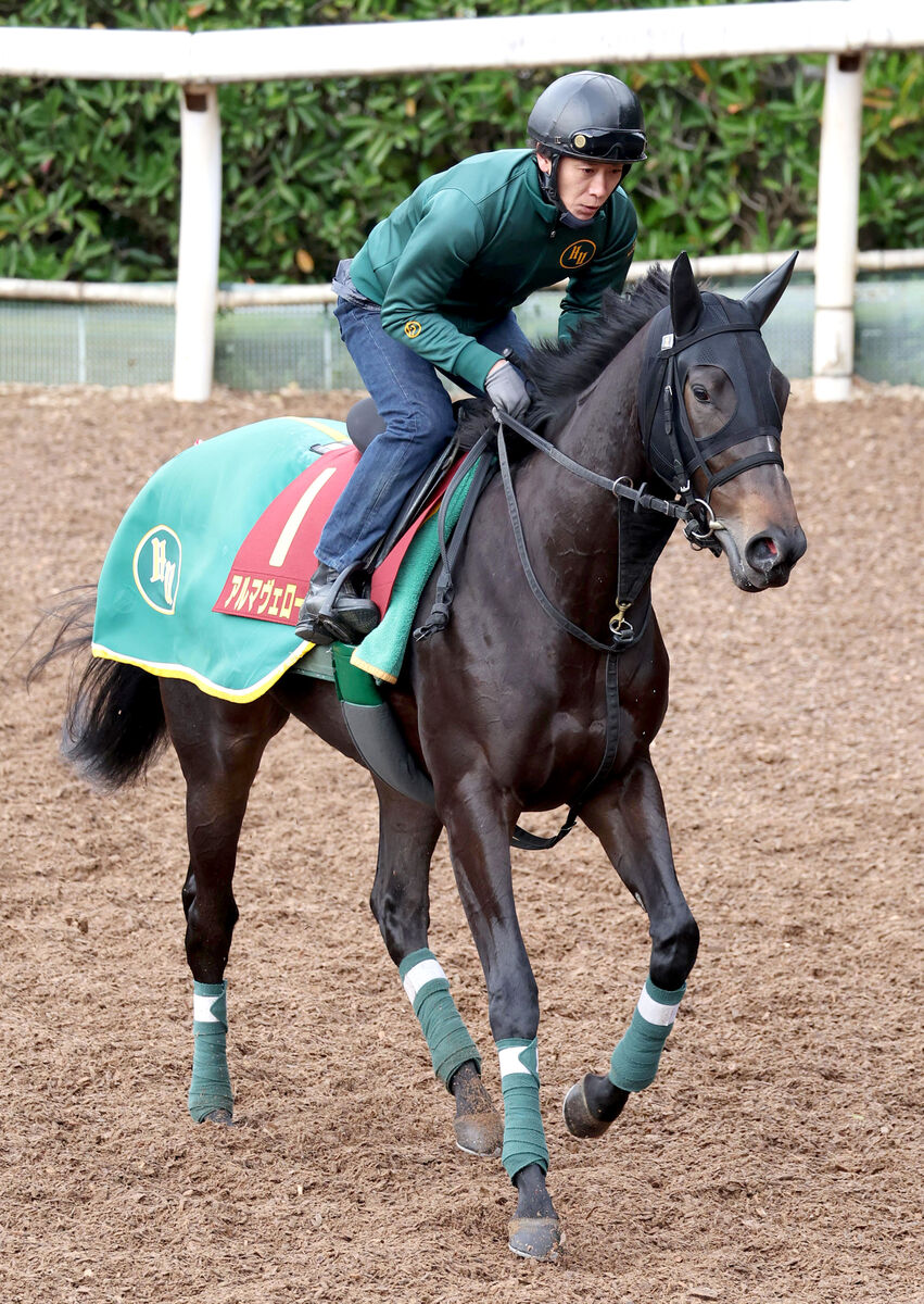 【阪神ＪＦ・水納の特注馬】アルマヴェローチェの札幌２歳Ｓ２着は見せ場十分　Ｇ１でも好勝負可能