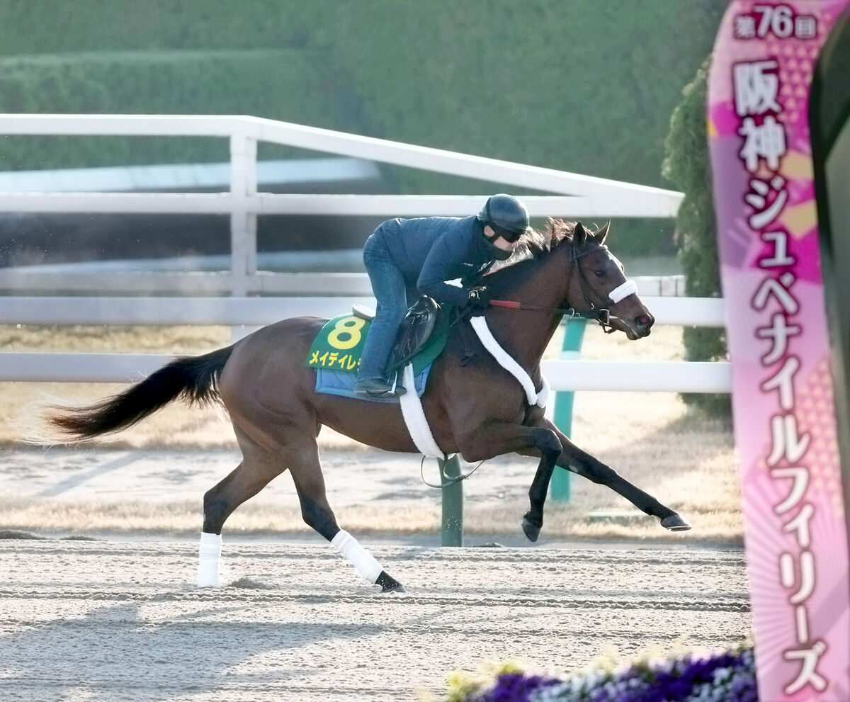 【阪神ＪＦ】外国調教馬として初参戦の米国馬が２歳女王に名乗り「とてもうまく調整できた」追い切りで大物の風格