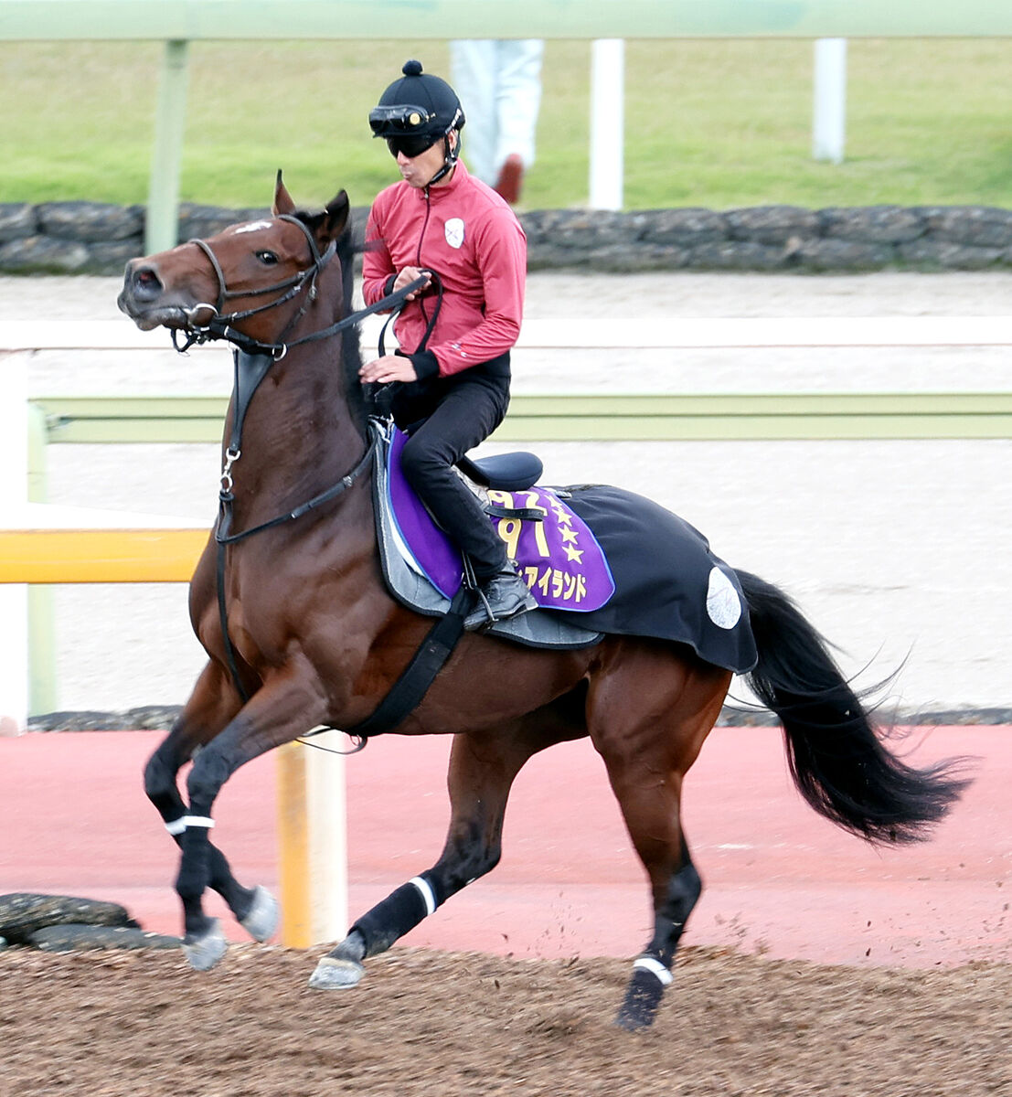 【香港カップ】「動きは良かった」牝馬３冠馬が香港で輝き取り戻す