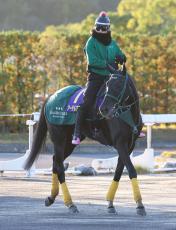 【注目馬動向】アーテルアストレアは次走のフェブラリーＳがラストラン　橋口調教師「勝って引退させてあげたい」