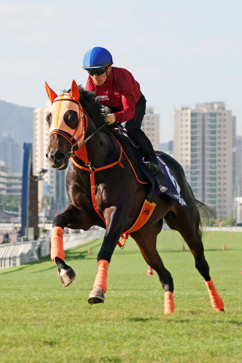 【香港マイル】川田将雅騎手がまたがりジャンタルマンタルが好反応「とてもいい状態」約７か月ぶり実戦へ順調