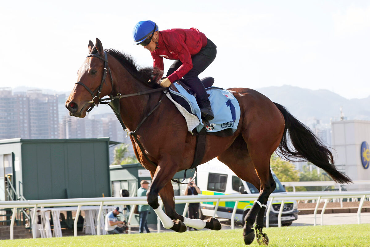 【香港カップ】リバティアイランドが逆襲へ好気配　川田将雅騎手「とてもいい精神状態」