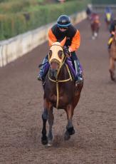 【注目馬動向】スタニングローズは有馬記念でムーア騎手と初コンビ　エリザベス女王杯に続くＧ１・３勝目へ