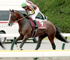 【注目馬動向】ＢＣターフ２着のローシャムパーク　有馬記念の鞍上はマーカンド騎手