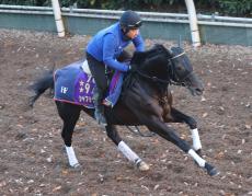 【有馬記念】シャフリヤールが帰厩後初時計　藤原調教師「（遠征の）ダメージがなかったからね」　坂路で５４秒５