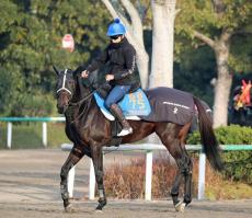 【中日新聞杯】報知杯弥生賞覇者で皐月賞２着のコスモキュランダは５枠９番　キングズパレスは２枠３番　枠順確定