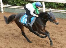 【中日新聞杯】２日連続の「福永チョイス」で重賞Ｖなるか　得意の左回りに戻る７歳馬が初タイトルを狙う