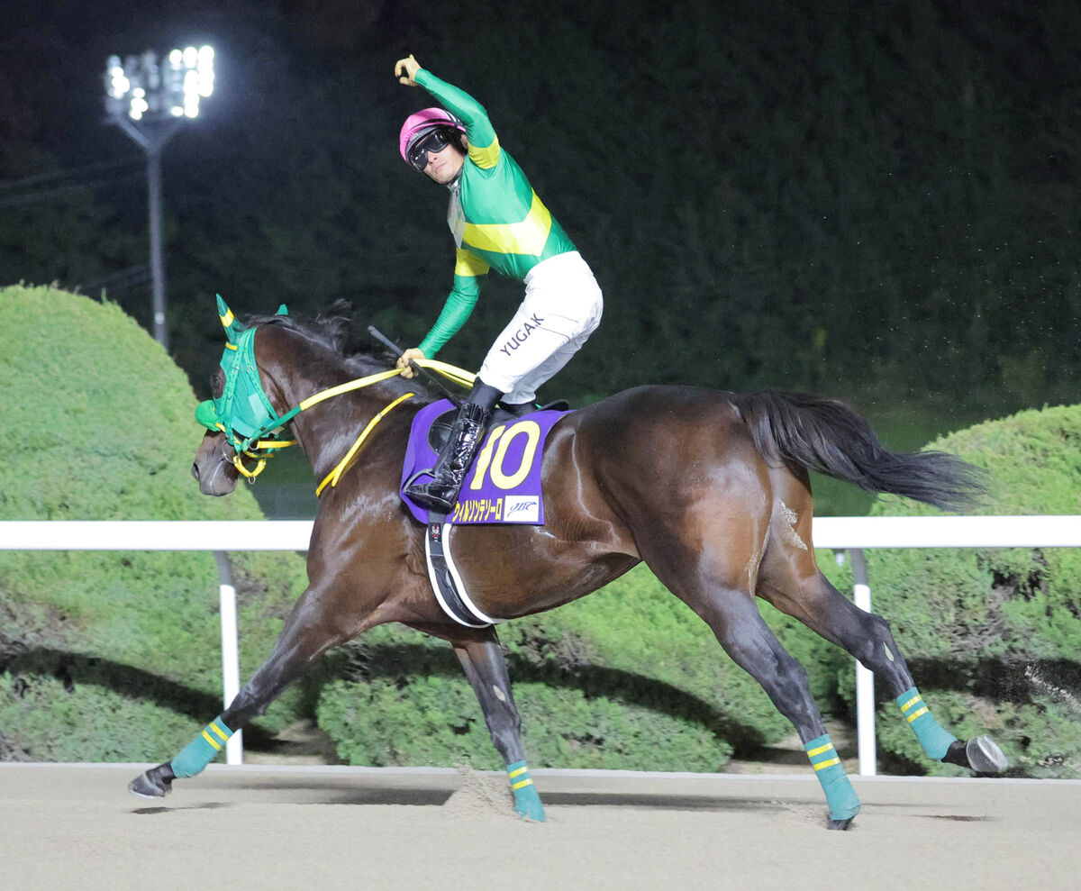 【注目馬動向】ウィルソンテソーロは引き続き川田将雅騎手とのコンビで東京大賞典へ