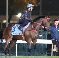 【香港カップ予想】海外競馬通・成田幸穂の予想…前哨戦を盤石の内容で制したあの馬を本命に指名