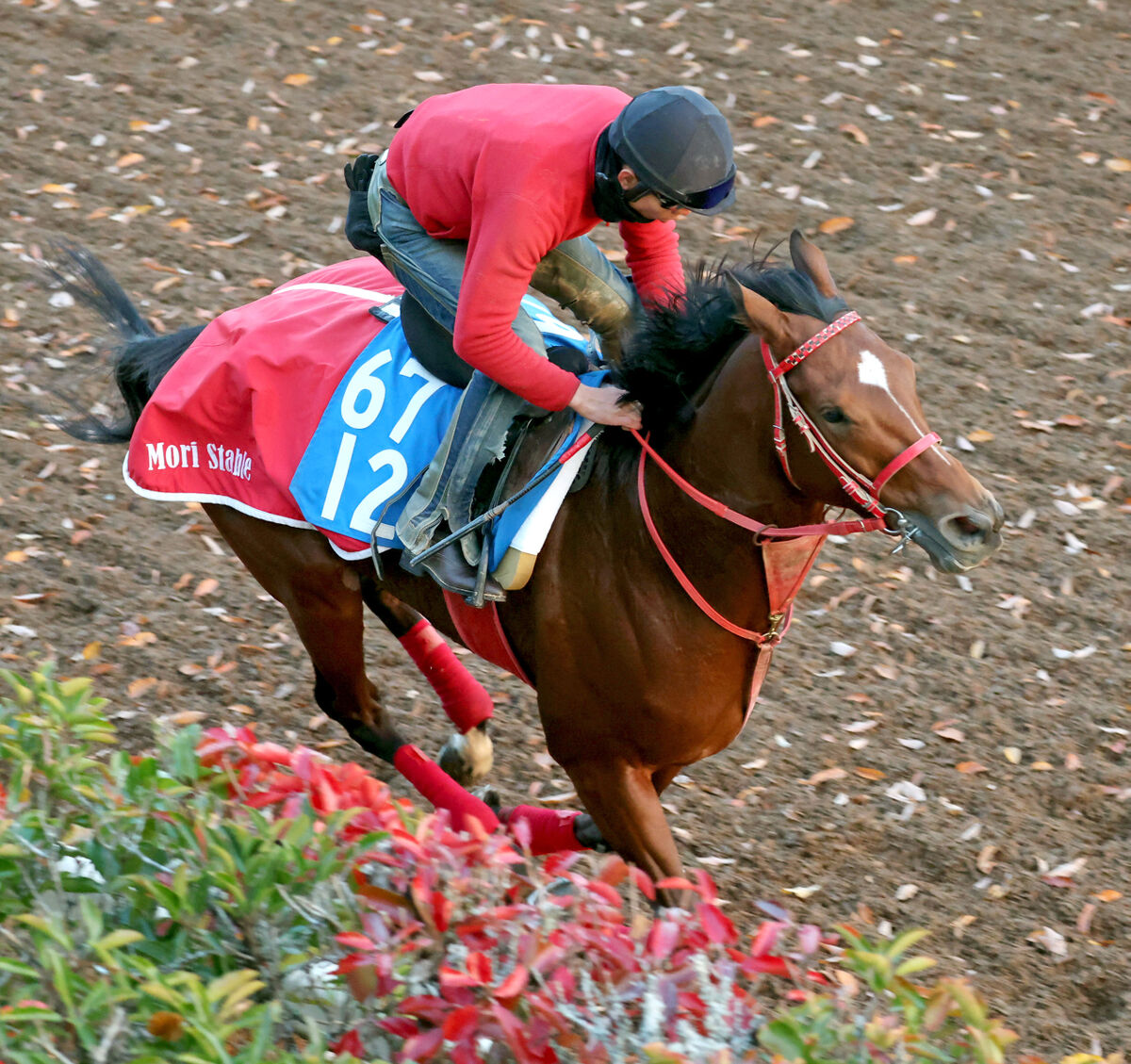 【カペラＳ】３歳馬のエスカルが出走取り消し　左前挫せきのため